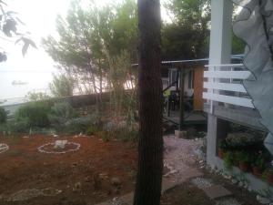 Zahrada ubytování Camp Sita