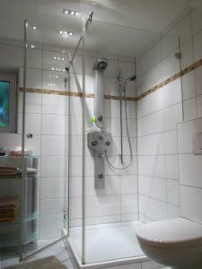 a bathroom with a shower and a toilet at Ferienwohnung in Hahnheim, Rheinhessen in Hahnheim