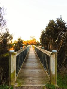 a wooden bridge over a field with trees at Moomba Holiday and Caravan Park in Port Sorell