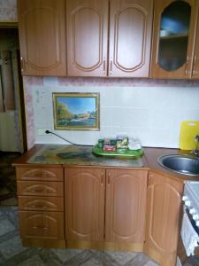  A cozinha ou kitchenette de Apartment in Gribanowski 