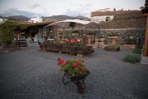 Zahrada ubytování Casa Jacinta con jacuzzi
