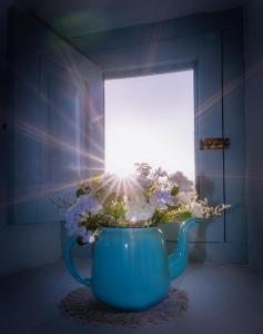 Fotografie z fotogalerie ubytování Casa Jacinta con jacuzzi v destinaci Adeje