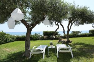 two chairs and a table under a tree at Seafront Calista Beach House With Garden in Glyfada