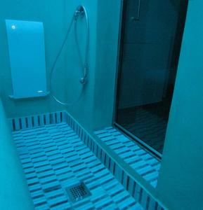 a blue bathroom with a shower with a glass door at Il Batacchio B&B in Minerbio