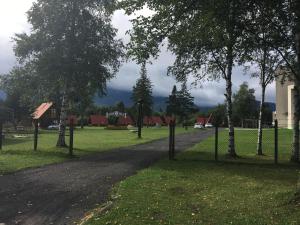 uma estrada de terra num parque com árvores em Camping Intercamp Tatranec em Tatranská Lomnica
