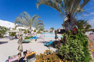 Πισίνα στο ή κοντά στο Apartment Pearl +34 φωτογραφίες