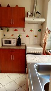 cocina con fregadero y microondas en Jolanda Apartment, en Budapest