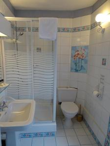 a bathroom with a toilet and a shower and a sink at La Maison Blanche in Cuvergnon