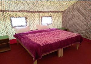 a bedroom with a purple bed with two windows at Shyok Camp - Nubra in Nubra