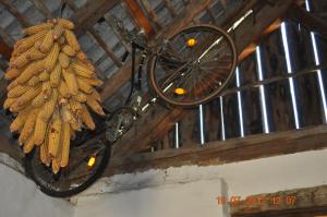 Zdjęcie z galerii obiektu Appartmenthaus Josefikeller w mieście Podersdorf am See