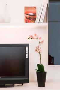 A television and/or entertainment centre at Shalai Relais Apartment