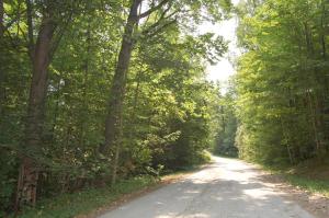 a dirt road with trees on both sides at St. Clair Camping Resort in Marysville +4 photos