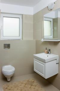 a bathroom with a toilet and a sink and a mirror at Pensiunea Karola in Păltiniş +52 photos