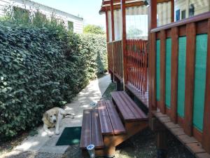 Galeriebild der Unterkunft MOBIL HOME 43 dans Camping 4 Etoiles in Gastes