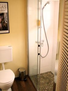 une cabine de douche dans une salle de bain avec toilettes dans l'établissement Le Patio maison de charme 150m plage et hyper centre, à La Rochelle 40 autres photos