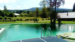 a swimming pool with tongs in the water at Penzion a apartmány Skipark Hraběšice in Krásné