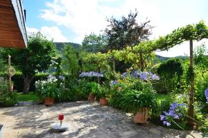 einen Garten mit Topfpflanzen und Blumen auf einer Terrasse in der Unterkunft Fewo Amber in Heimbach
