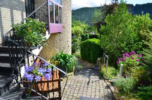 einen Garten mit Blumen und Pflanzen auf einem Haus in der Unterkunft Fewo Amber in Heimbach