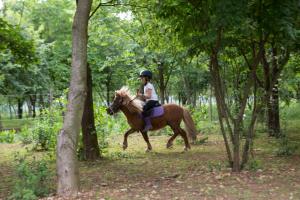 コルモンスにあるAgriturismo Borg da Ocjsの森の中を馬に乗る者