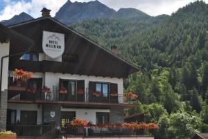 Nespecifikovaný výhled na hory nebo výhled na hory při pohledu z hotelu