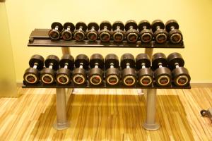 Fitness centrum a/nebo fitness zařízení v ubytování Astralis Hotel Domizil