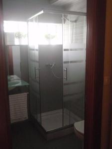 a glass shower in a bathroom with a toilet at Apartamentos Arcos del Esva in Luarca +77 photos
