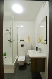 Un baño con ducha, inodoro y lavabo. en Old Town Szczecin, en Szczecin 33 fotos más