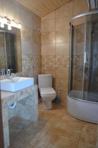 コスティネシュティにあるVila Danlyのバスルーム(トイレ、洗面台、シャワー付)