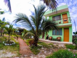 a palm tree in front of a house at La Casa de Jessy in Máncora