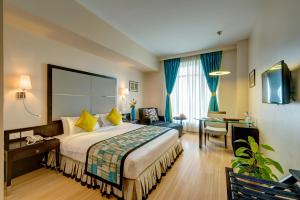 丹巴德的住宿－Sonotel Hotels & Resorts Pvt Ltd，配有一张床和一张书桌的酒店客房