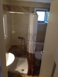 a bathroom with a shower and a toilet and a sink at Studio Zenap in Agios Georgios +5 photos