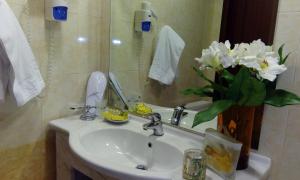 Uma casa de banho em Hotel Apollonia Delphi