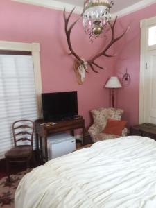una camera da letto con pareti rosa, un letto e una scrivania di The Mays Place Bed and Breakfast a Elgin
