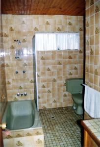 a bathroom with a green tub and a toilet at pamelas retreat in Bridgetown