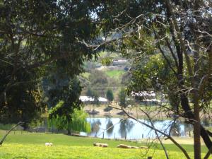 Gallery image of pamelas retreat in Bridgetown