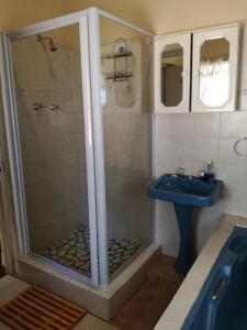 a bathroom with a shower and a blue sink at Blye Uitsig in Oudtshoorn