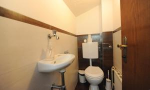 フィーホーフェンにあるAppartement Dürlingerの洗面台とトイレ付きの小さなバスルーム
