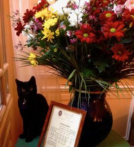 a black cat sitting next to a vase of flowers at Hôtel Chopin in Paris