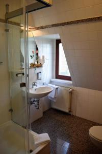 La salle de bains est pourvue d'un lavabo et d'une douche. dans l'établissement Hotel Artushof, à Dresde