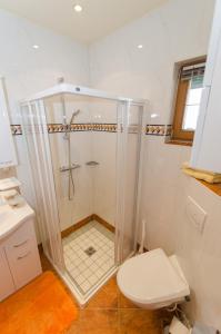 a bathroom with a shower and a toilet at Ferienwohnung Schreilechner in Mauterndorf