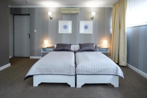 um quarto com uma cama com duas almofadas em Hotel Niedźwiadek em Wdzydze Kiszewskie