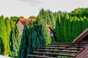 Vonkajšia záhrada v ubytovaní Parkland Inn