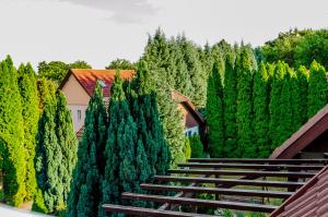 a set of stairs in a forest of trees at Parkland Inn in Érd