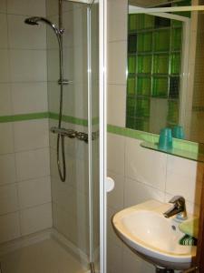 a bathroom with a shower and a sink at Gästehaus Schneider in Brauneberg