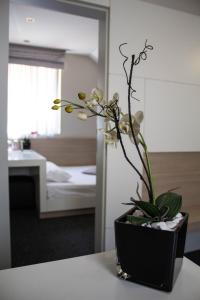 a black vase with a plant on a table at Garni Hotel Krevet&Dorucak in Niš
