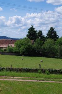 dos animales pastando en un campo de hierba verde en Maison de famille Jo et Juliette, en Suin