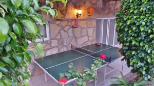 Stolní tenis v ubytování Kleopatra Carina Hotel nebo okolí