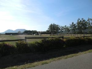 Príroda v okolí farmy