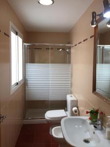 a bathroom with a shower and a toilet and a sink at Apartamento Cuarto Real de Santo Domingo in Granada +6 photos