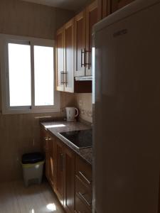 cocina con armarios de madera, fregadero y 2 ventanas en Apartamento Cuarto Real de Santo Domingo, en Granada